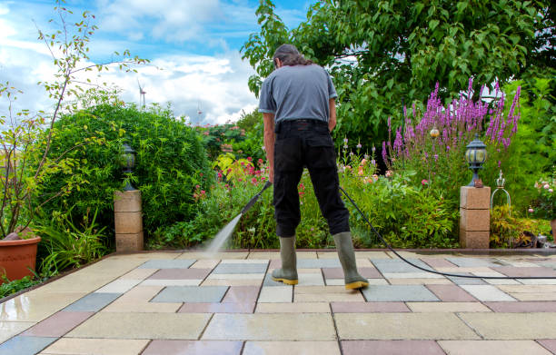 Professional  Pressure Washing Services in Del Aire, CA
